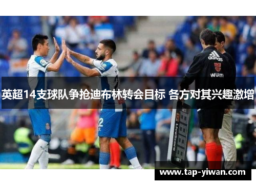 英超14支球队争抢迪布林转会目标 各方对其兴趣激增