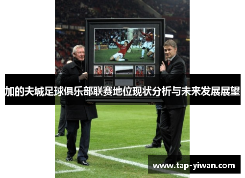 加的夫城足球俱乐部联赛地位现状分析与未来发展展望