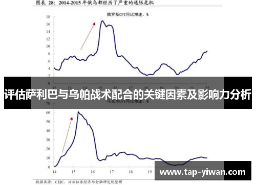 评估萨利巴与乌帕战术配合的关键因素及影响力分析