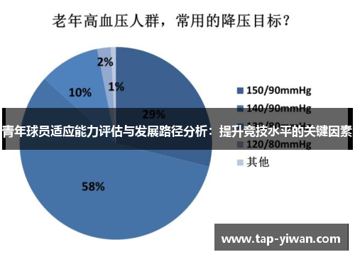 青年球员适应能力评估与发展路径分析：提升竞技水平的关键因素